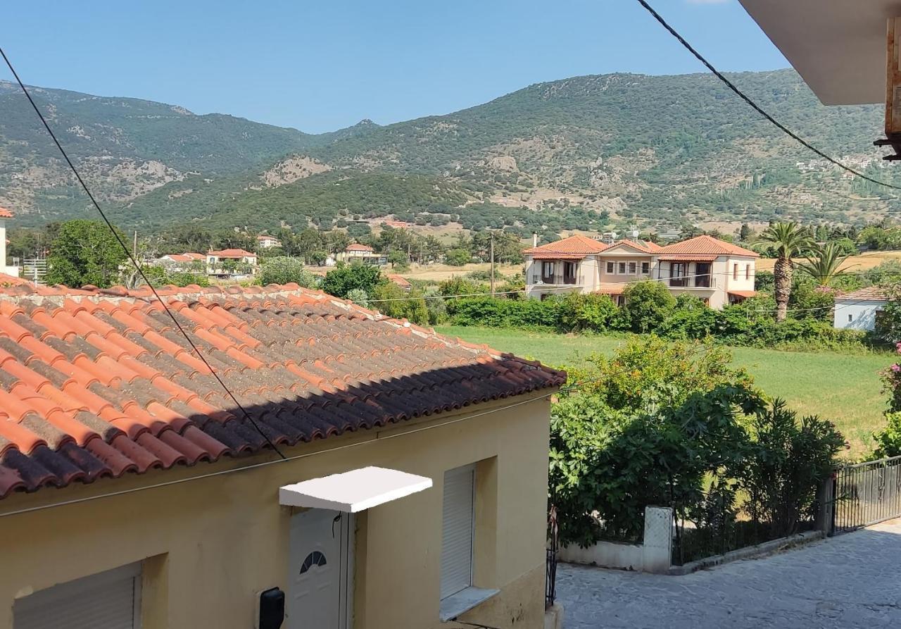 Hotel Ilion Petra  Eksteriør billede